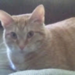 Meet your Posher, Vicki